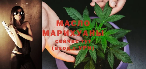 прущие грибы Ленинск-Кузнецкий