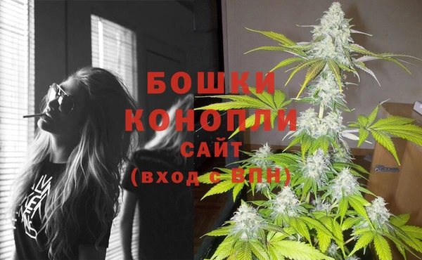 бошки Зерноград