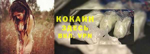 мяу мяу мука Зеленокумск