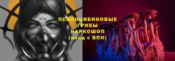 дживик Снежногорск
