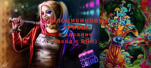 дмт Зеленодольск