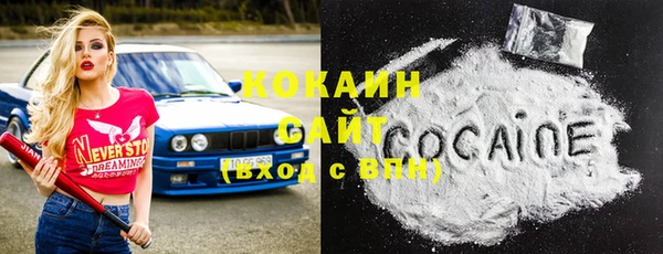 прущие грибы Ленинск-Кузнецкий
