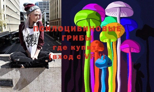 дмт Зеленодольск
