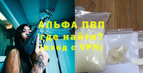 дживик Снежногорск