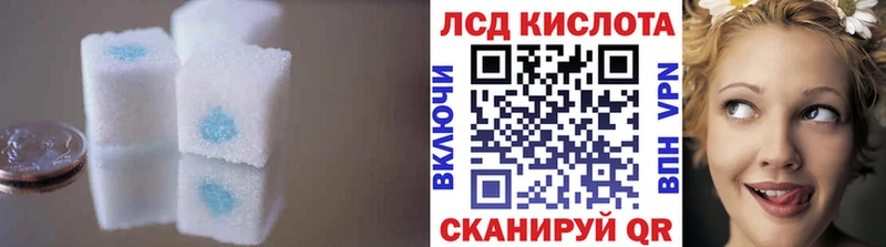 как найти закладки  Судак  ЛСД экстази ecstasy 